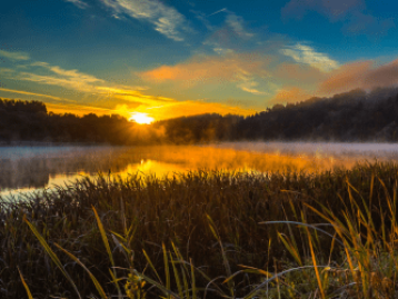 Ką pamatyti Alytuje? - Noriu Noriu Noriu