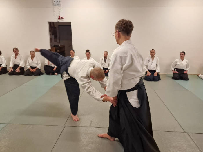 Aikido Dojo Sūkurys - Viešbučiai Vilniuje