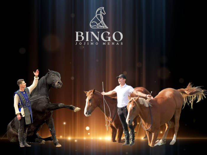 Žirgų teatras „Bingo“ - Viešbučiai Vilniuje